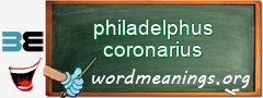 WordMeaning blackboard for philadelphus coronarius